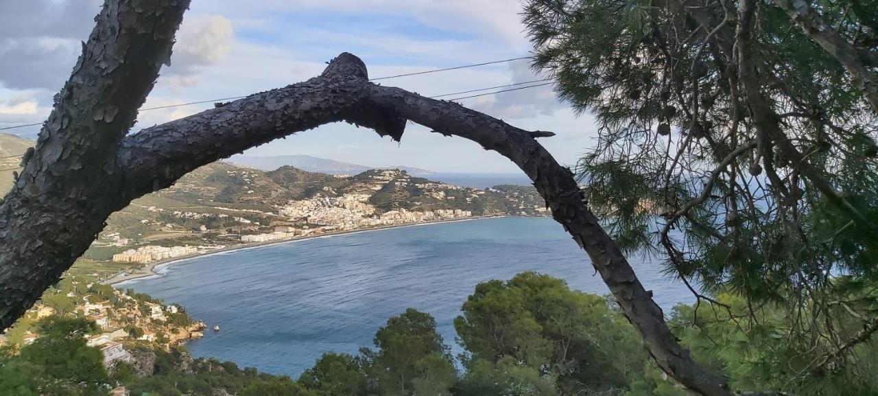 Appartement Rincon De Mar *